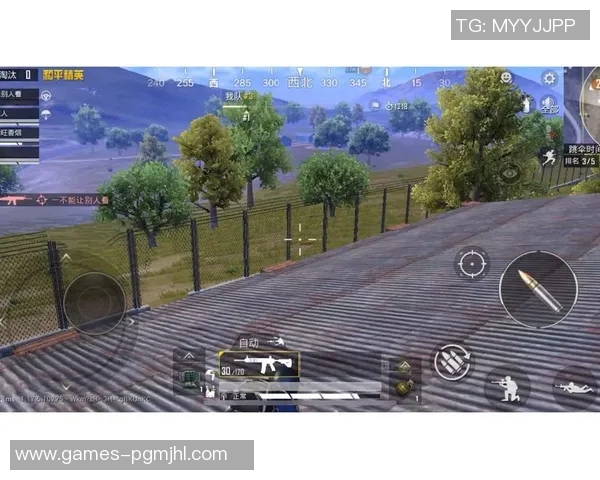 和平精英中WE阵地战表现分析及其得失总结探讨